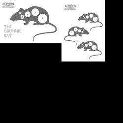 Rats